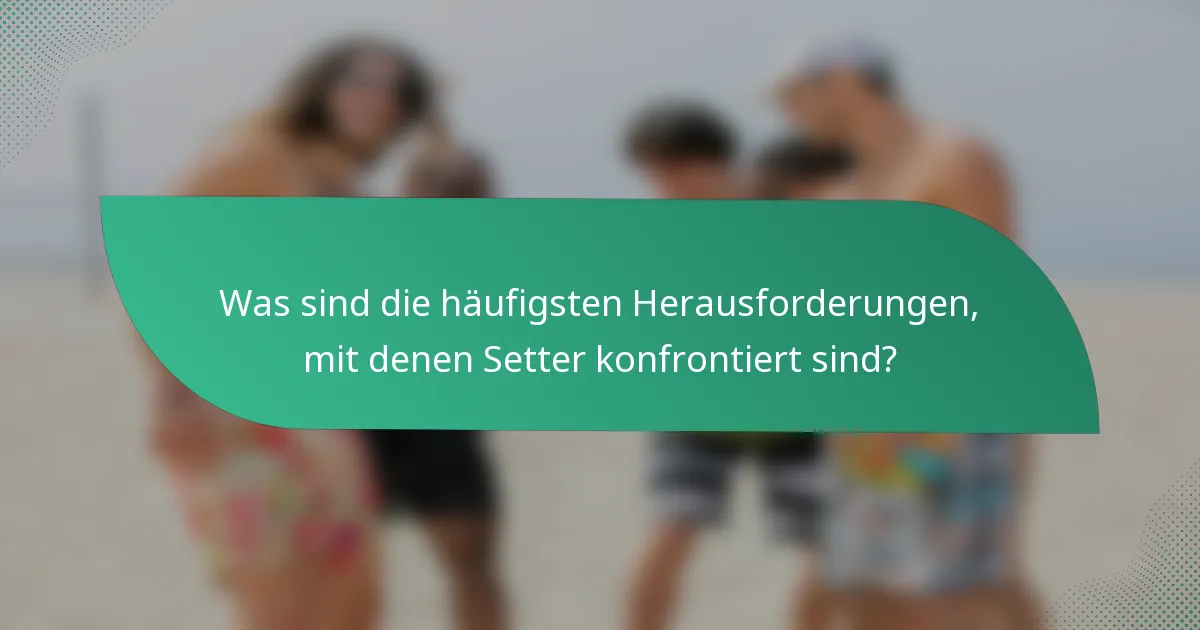 Was sind die häufigsten Herausforderungen, mit denen Setter konfrontiert sind?