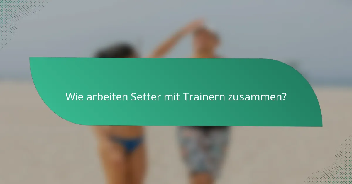 Wie arbeiten Setter mit Trainern zusammen?