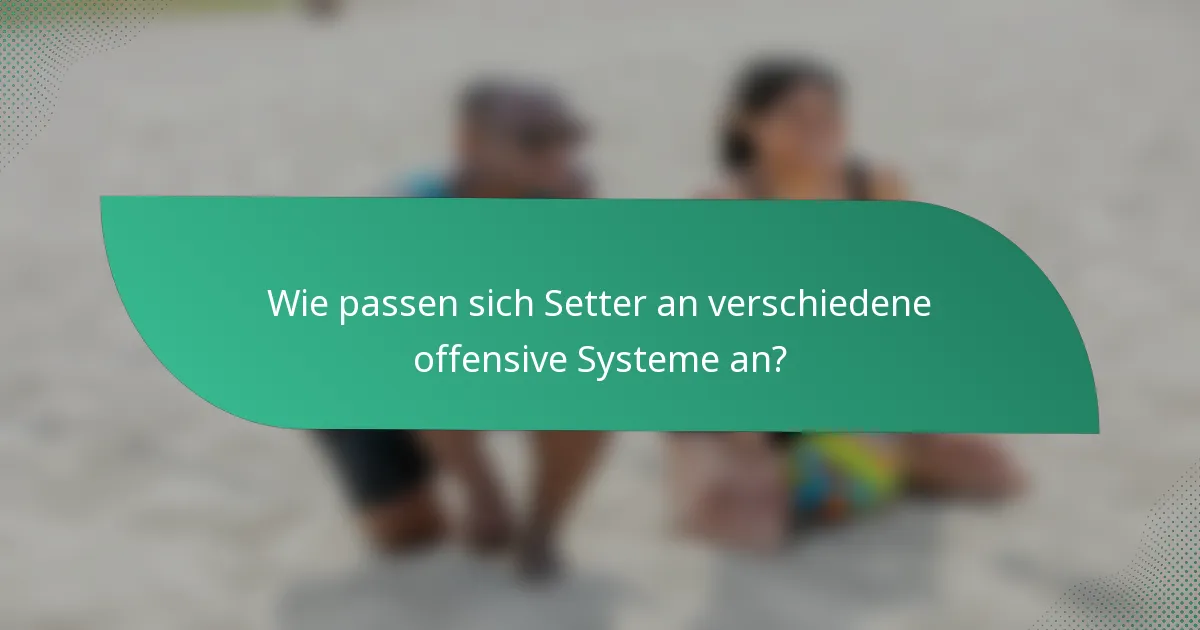 Wie passen sich Setter an verschiedene offensive Systeme an?